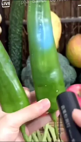 Đèn kiểm tra chất gây hại cho thực phẩm #