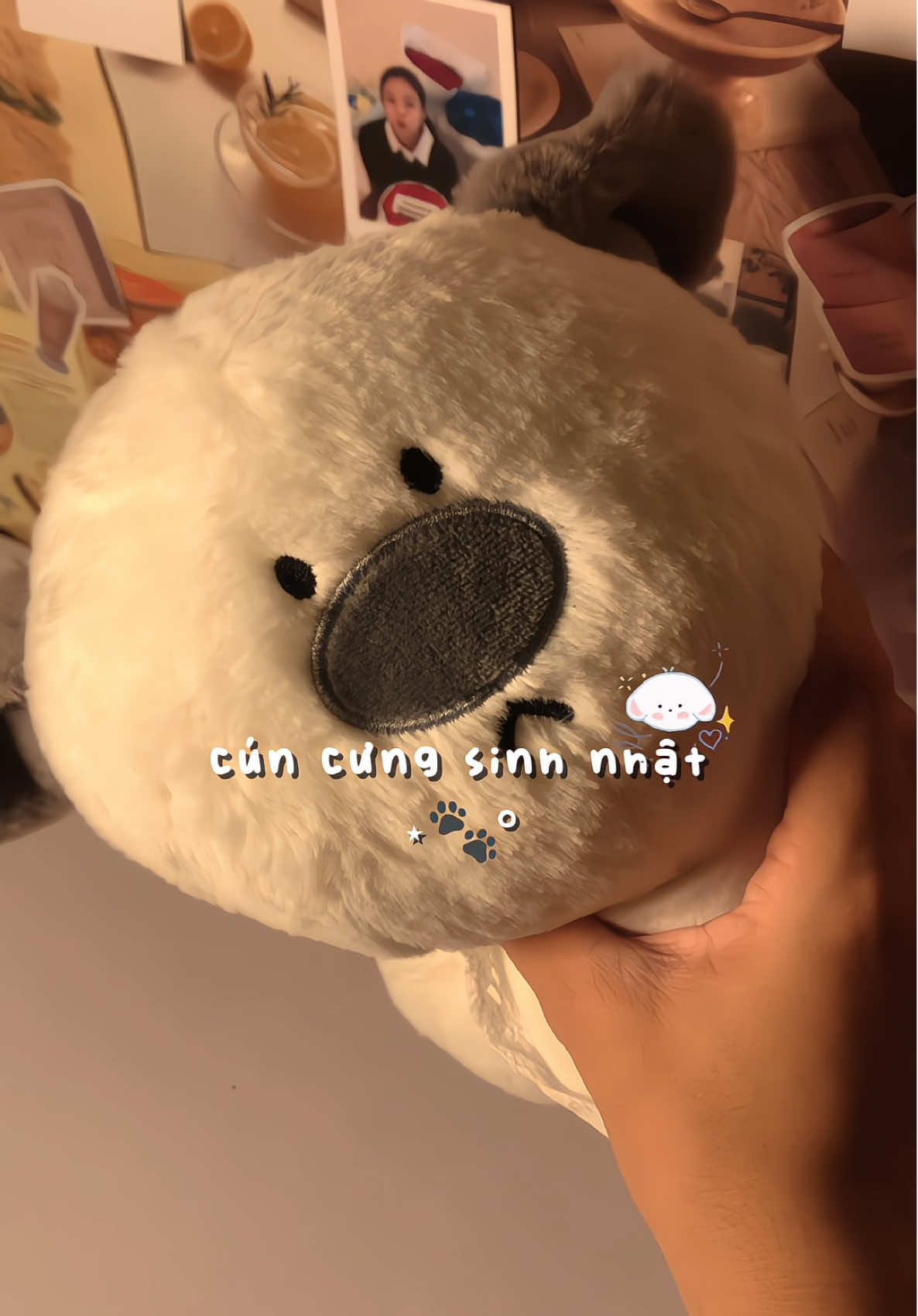 cún cưngggg #viral #unboxing #xuhuong 