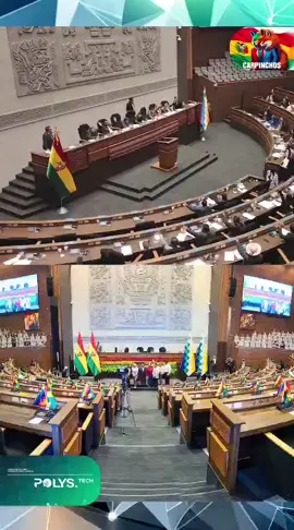 POLYS TECH TE INFORMA  #TSE #bolivia🇧🇴 #senado #polystech #politologo 