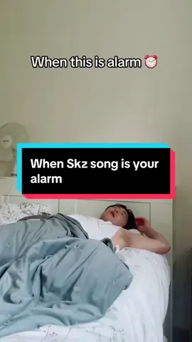 #kpopfyp #stay #straykids #godsmenu #godsmenuskz 