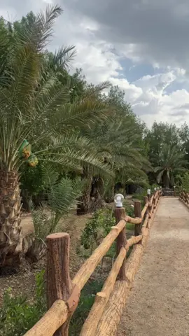 #مزرعة الشلالات الريفيه#العقيق#