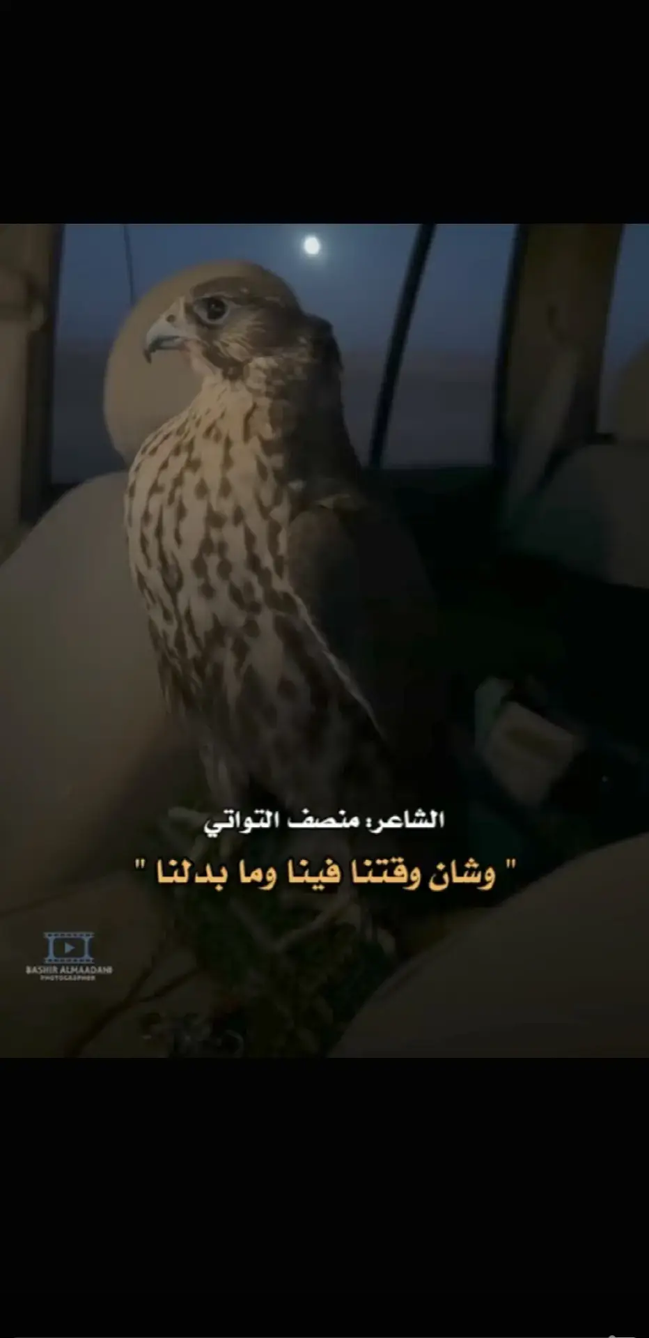 #شعراء_وذواقين_الشعر_الشعبي #شتاوي_وغناوي_علم_ع_الفاهق❤🔥 