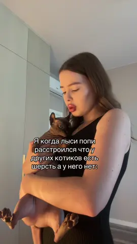 Он грустит😔#лысикоти #лысипопи #сфинкс #животные #sphynx 