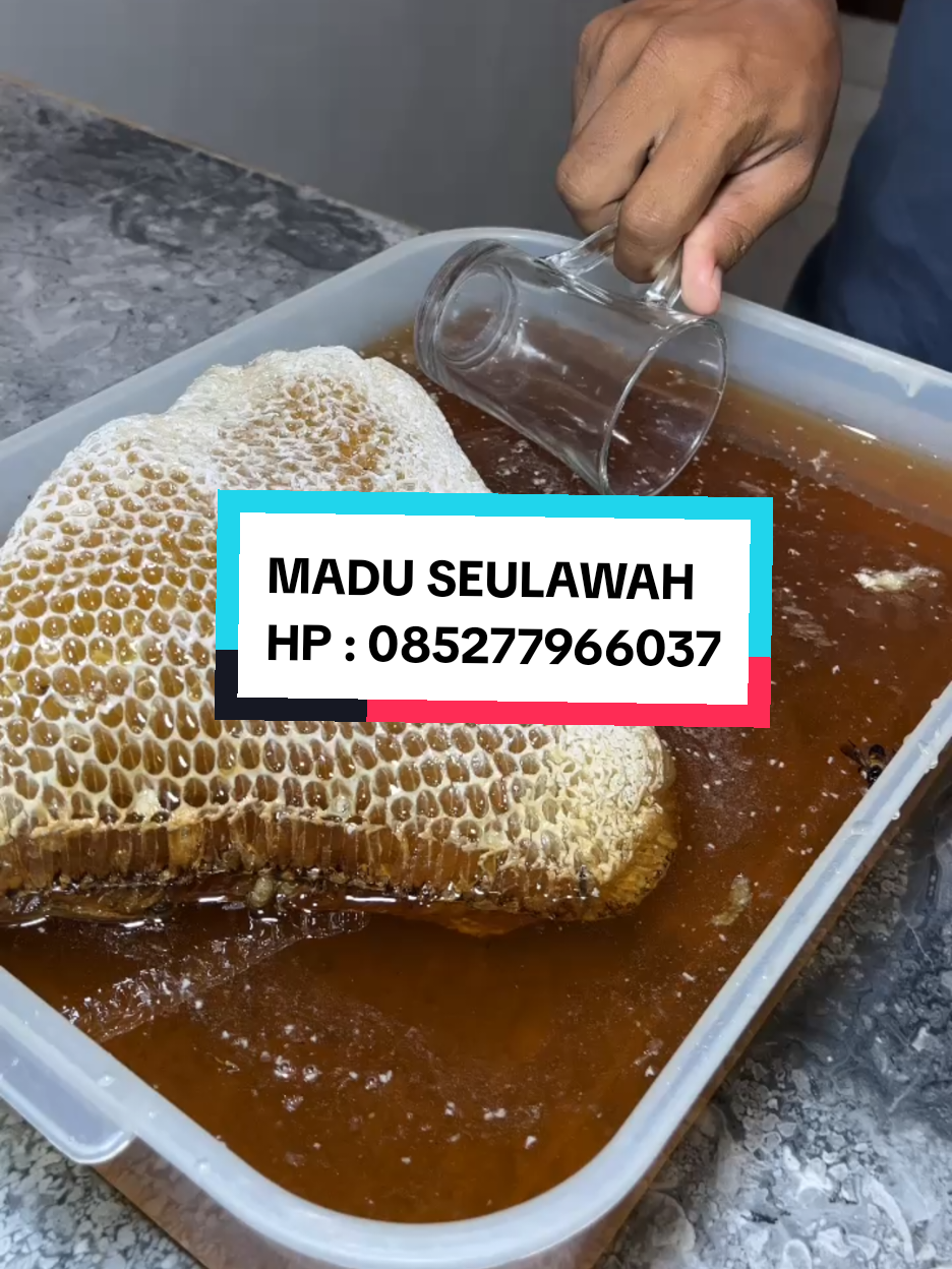 Madu Seulawah – Murni, Asli, Terpercaya. Madu Seulawah adalah madu murni yang dihasilkan dari hutan alami Gunung Seulawah. Tanpa campuran, tanpa bahan kimia. Rasakan manfaat alami untuk imun tubuh, stamina, dan kesehatan harian Anda. 🌼 100% Madu Asli 🐝 💪 Baik untuk anak dan dewasa 🍯 Langsung dari pawang lokal 😉.. 🌼 Madu Seulawah bukan sekadar madu biasa. Dipanen langsung dari lebah liar di pegunungan Seulawah, kaya manfaat dan rasa. COBA dan RASAKAN BEDANYA! 👌 ✅ @madu seulawah  📲 085277966037 💴 Hrg sangat terjangkau... #maduasli #maduseulawah #segar #terjaminkualitasnya #maduhutan 