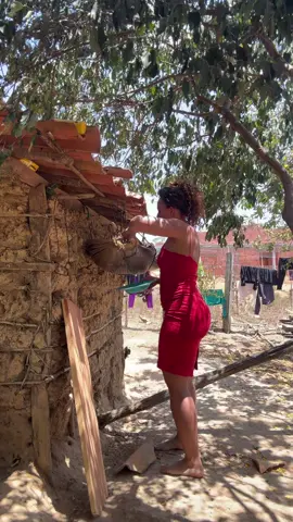 Mistura vai ser ovos#registrodevida 