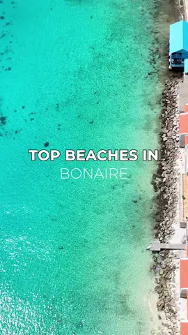 Save this post for your next trip to Bonaire! Bonaire is such an underrated island and one of the best in the Caribbean. Check it out! #Bonaire #Travel #CaribbeanIslands 