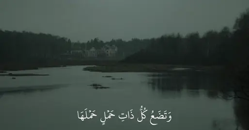 يَٰٓأَيُّهَا ٱلنَّاسُ ٱتَّقُواْ رَبَّكُمۡۚ إِنَّ زَلۡزَلَةَ ٱلسَّاعَةِ شَيۡءٌ عَظِيمٞ || ماهر المعيقلي سورة الحج🤍.  #ماهر_المعيقلي #سورة_الحج #قران_كريم #islam #quran 