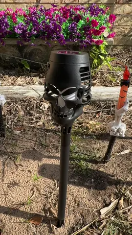 Light up your yard with spooky style using these solar-powered skull lanterns that stake right into the ground. Perfect for Halloween or adding a creepy glow to your outdoor space, they charge during the day and shine at night without any cords or hassle. The eerie skull design makes them the ultimate decoration to wow trick-or-treaters or set the mood for a haunted yard. Easy to install, weather-ready, and totally reusable year after year, these lanterns bring scary fun to any outdoor setup. #TikTokShopCreatorPicks #CreatorIcons #DealsForYouDays #CreatorNewArrivals #TikTokShopTrendingFreshFinds 