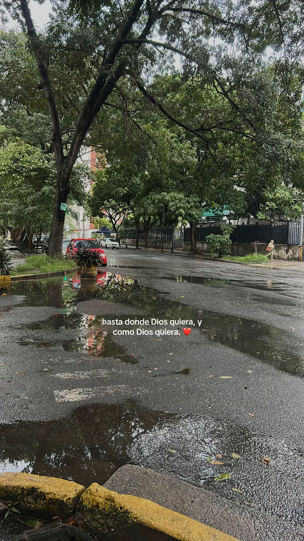 #fyp #parati #zyxcba #Dios 