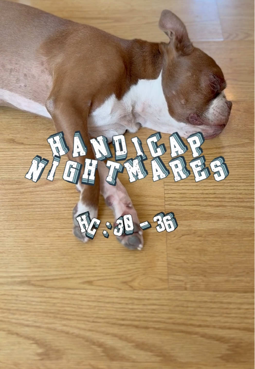 Handicap 30–36: the driver feels like an enemy. Slices, tops and lost balls everywhere. And when the ball finds a bunker by the green, the real nightmare begins. What’s your handicap, and what’s the shot that haunts you? 👇 Golf and Beyond. Book your tee now. #golfinspain #golfhumor #handicapnightmares #tiktokgolf #onlyinspain 