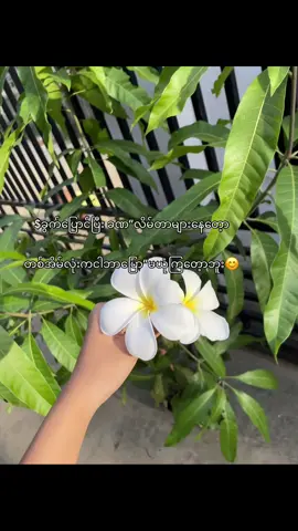 စိတ်ညစ်လိုက်တာ အမေပိုက်ဆံငါမခိုးပါဘူးဆိူနေမယုံကြဘူး🗿#မူးရင်းပါ #တတ်စမ်းပါviewတေရယ်😭😭 #တတ်စမ်းကွာfyp😭😢 #မူးရင်းပါfy 