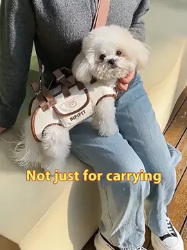 HIPIPET-PawsPort Premium Pet Carrier Bag for Small Dogs and Cats, Hands-Free Adjustable Shoulder Strap, Lightweight Portable Pet Backpack, Breathable Mesh Travel Puppy Tote with Storage Pocket #PetCarrier#PetBackpack#SmallDogs#cats #travel 