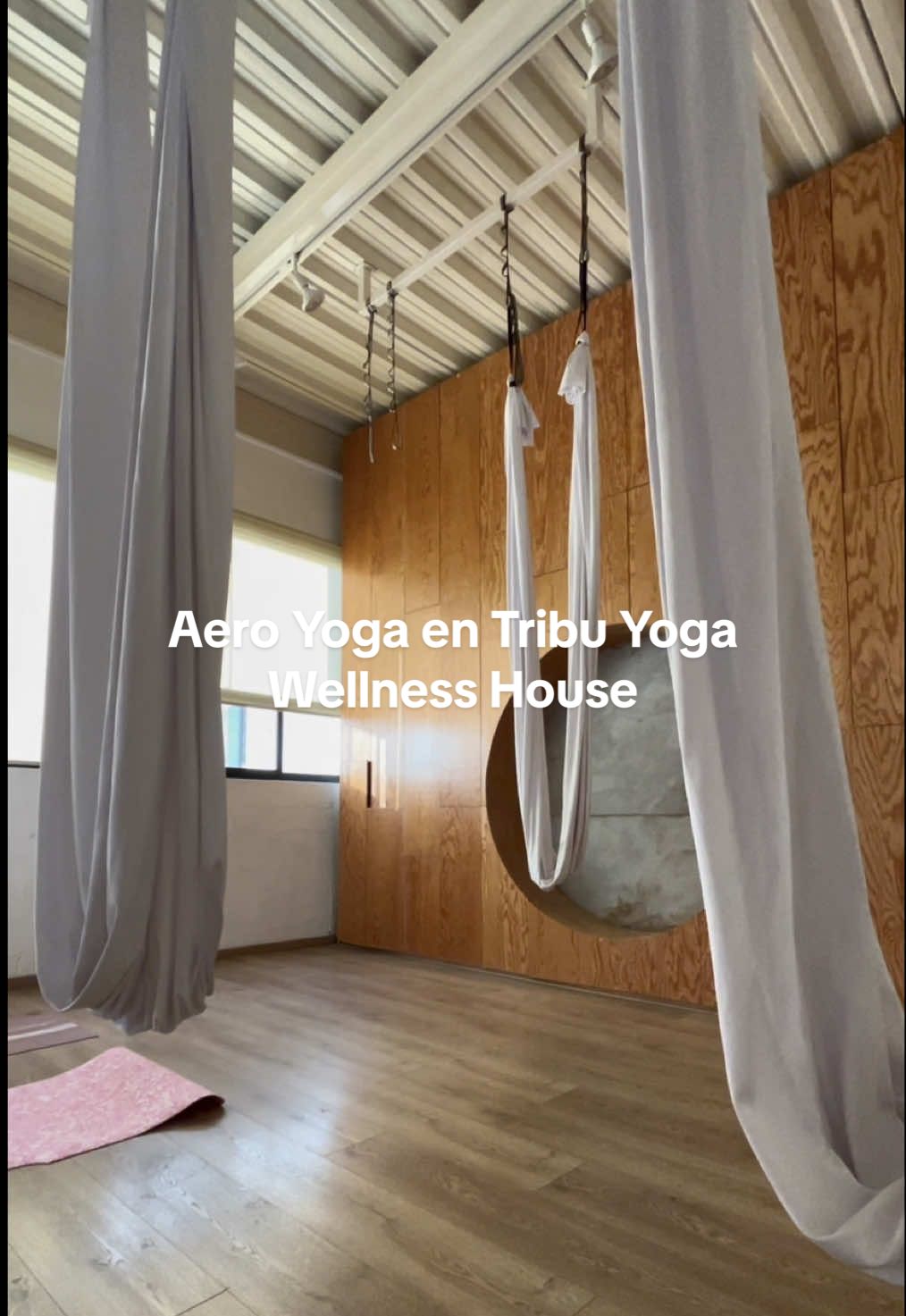 Hola yo soy Tania y con mi novio llevamos este proyecto de conocer estudios de Fitpass en Puebla y calificarlos acorde a cómo es nuestra experiencia. En este video les dejo mi reseña de Tribu 🧘 #fitpass #puebla #reseña #yoga #aeroyoga #tribu #clase 