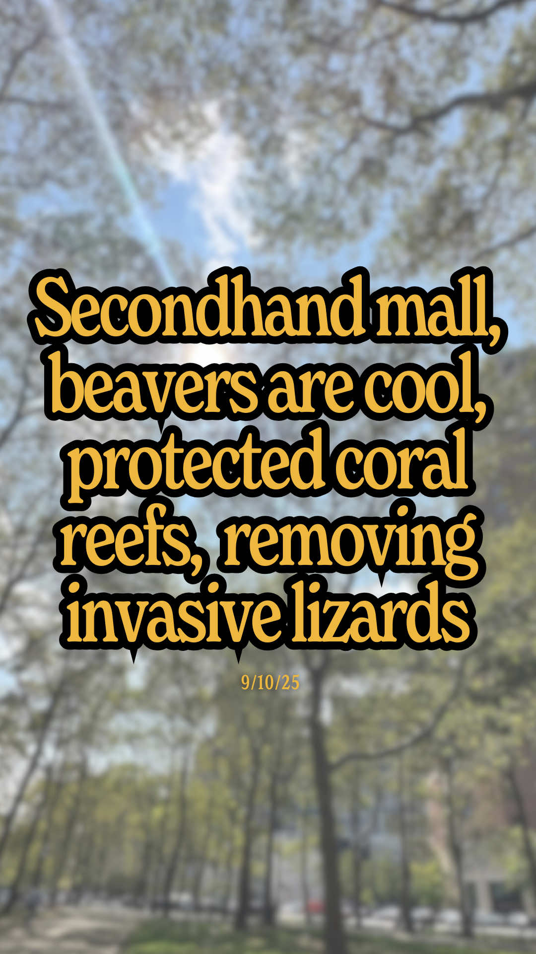 A fully secondhand shopping mall is working in Sweden, 54-year study confirms that beavers improve the land for their neighbors, resilient coral reefs are part of the Philippine’s new marine protected area, removing invasive lizards so native ones can thrive… How are you making the planet better today?