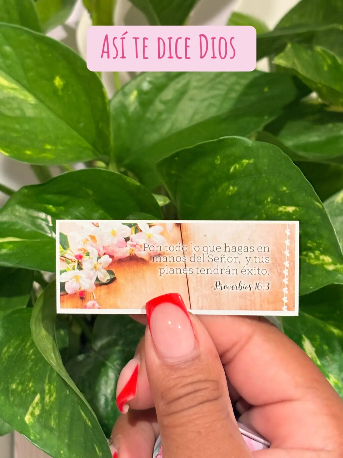 ✨ Cuando dependes de Dios, tienes todo lo que necesitas. No hay inseguridad, miedo ni vacío que Él no pueda llenar. Cuando tu confianza está en Él, no necesitas depender de la aprobación de otros ni del control de las circunstancias. 💡 Dios es tu proveedor, tu fuerza y tu guía. Él abre puertas, te sostiene en los momentos difíciles y te da paz cuando todo parece inestable. Depender de Dios es vivir en libertad, porque tu corazón descansa en Su amor perfecto.