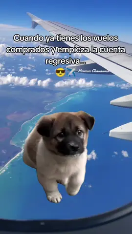 Que ansiedad, ya casi, ya casi!! 🤭✈️ #travel #traveltiktok #viaje #viajar #vacation #comedia #humor 