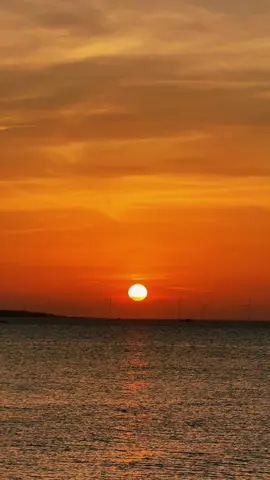 Ta lang thang giữa những nỗi đau, chẳng biết khi nào sức cùng lực cạn. #noibuonvobien 