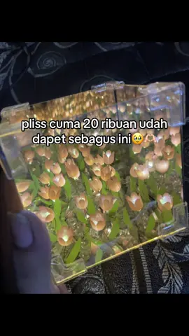 tag pasangan kalian #flowers #lamputidur #bungatulip #fyp #affiliate 