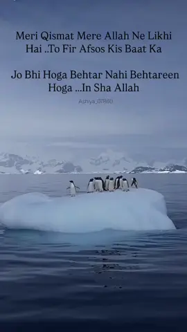 insha'Allah jarur 🥹🥹