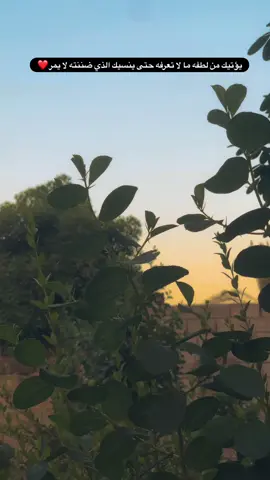 #تصويري_احترافي_الاجواء👌🏻🕊😴 #تصويري📸 #قناتي_تليجرام_بالبايو🦋 