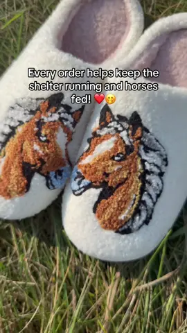Please help boost this by sharing ❤️🐴🙏🏻#horse #slippers #horseshelter #smallbuisness