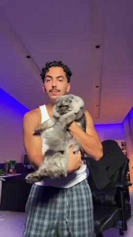 برونو الحب 🐈‍⬛❤️#دايلر #fyp 