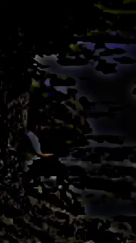 Part 23#foryou #foryoupage #tending #viral #unfrezzmyaccount 