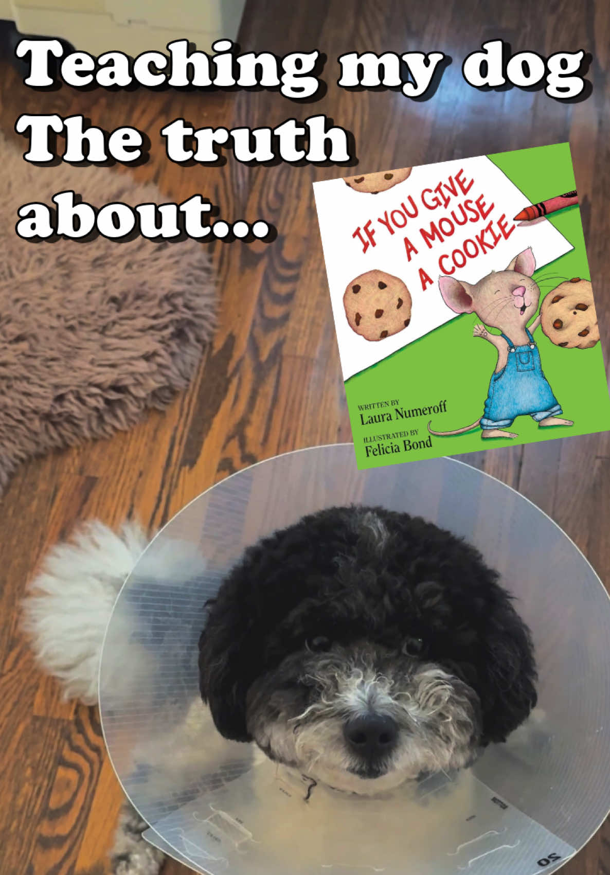 The CRAZY TRUTH behind “If You Give A Mouse A Cookie”… #comedytiktok #funny #skit #silly #comedy 