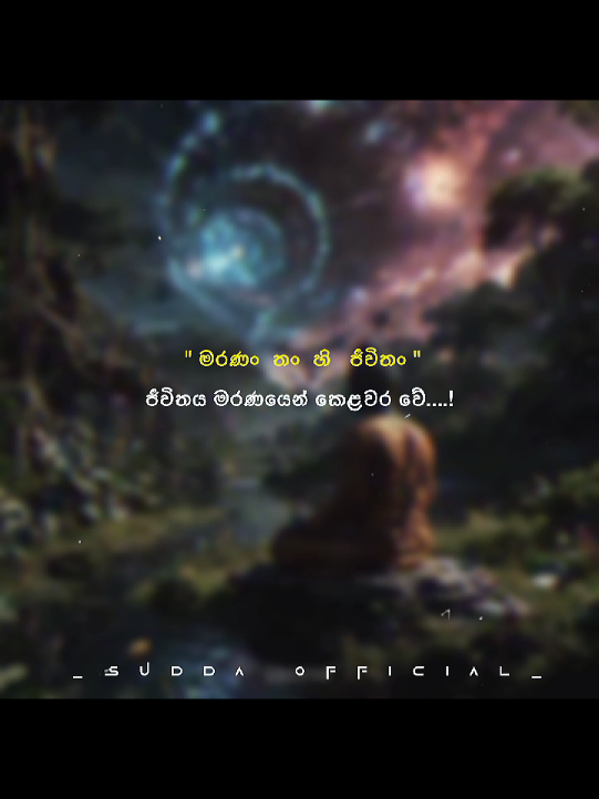සියල්ල හැරදා යුතුය...💥✌️#tranding #tiktok #වදන්_ස්ටේටස් #srilanaka #like 
