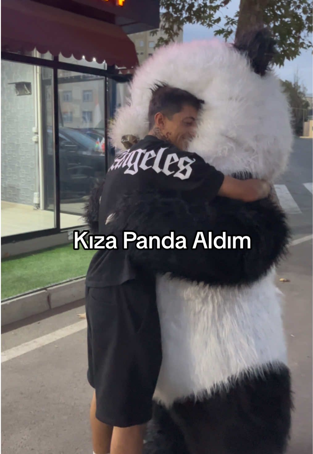 Hayal Serisi Panda 😂💕 #viralvideo #viraltiktok #hayalserisi @TokyoPanda 