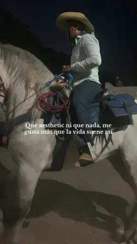 Y sí😛🤏🏼 #tierracaliente #guerrero #caballosbailadores #paratii 