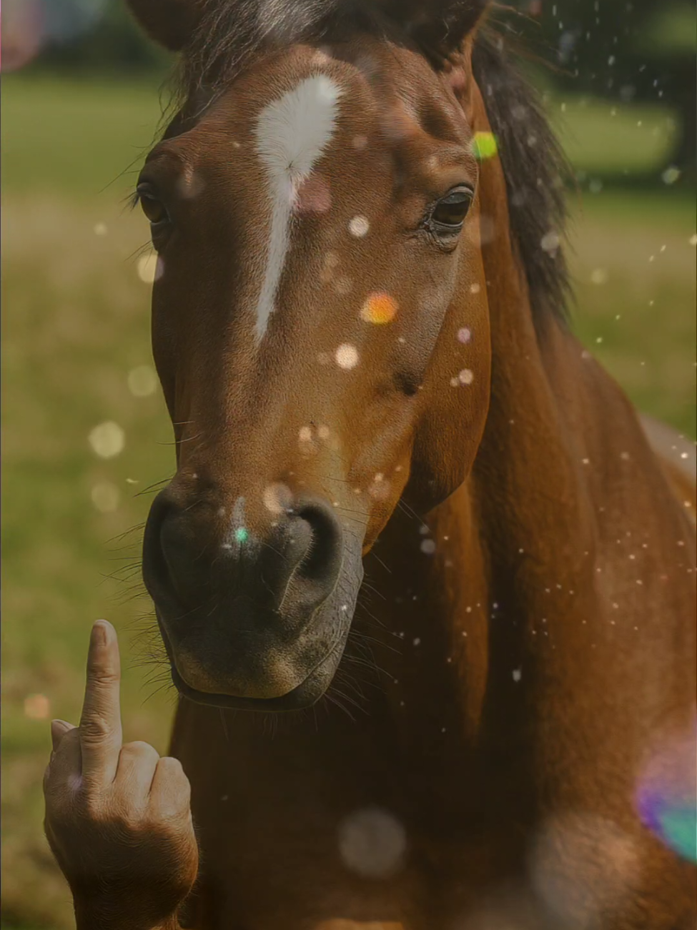 #goofy #horsememe #fyp 