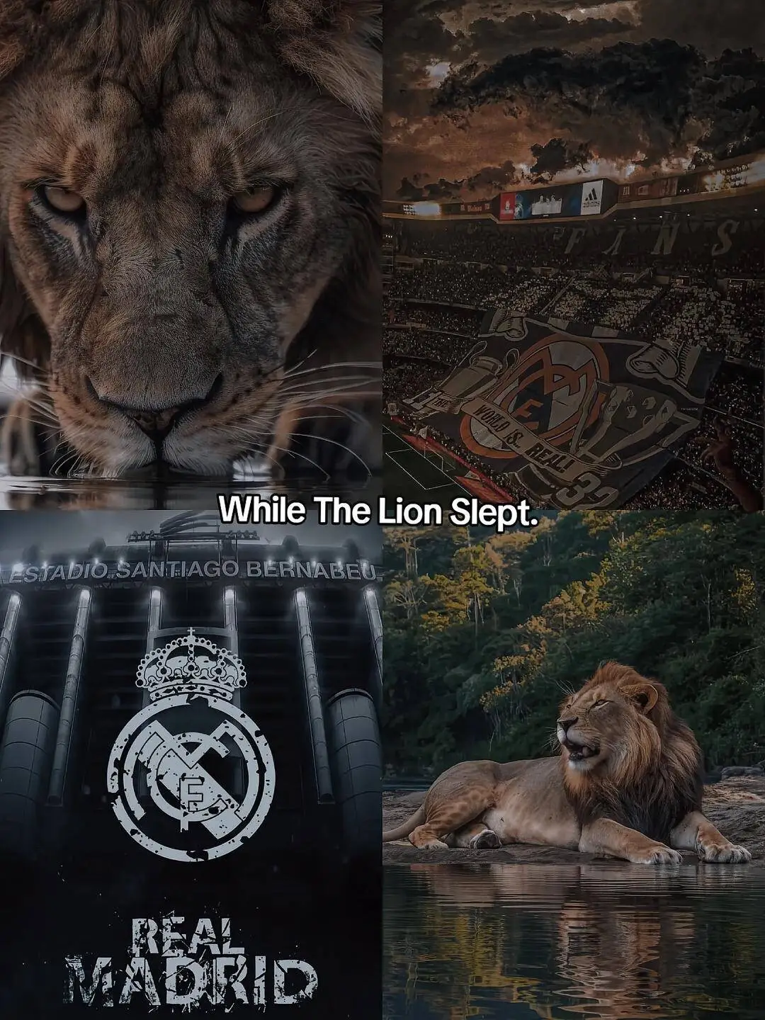 We will come back💯💯🔥🔥 #realmadrid #fyppppppppppppppppppppppppppp #barcelona #letthisgoviralwhynot #tiktokhelpmegoviral💖 