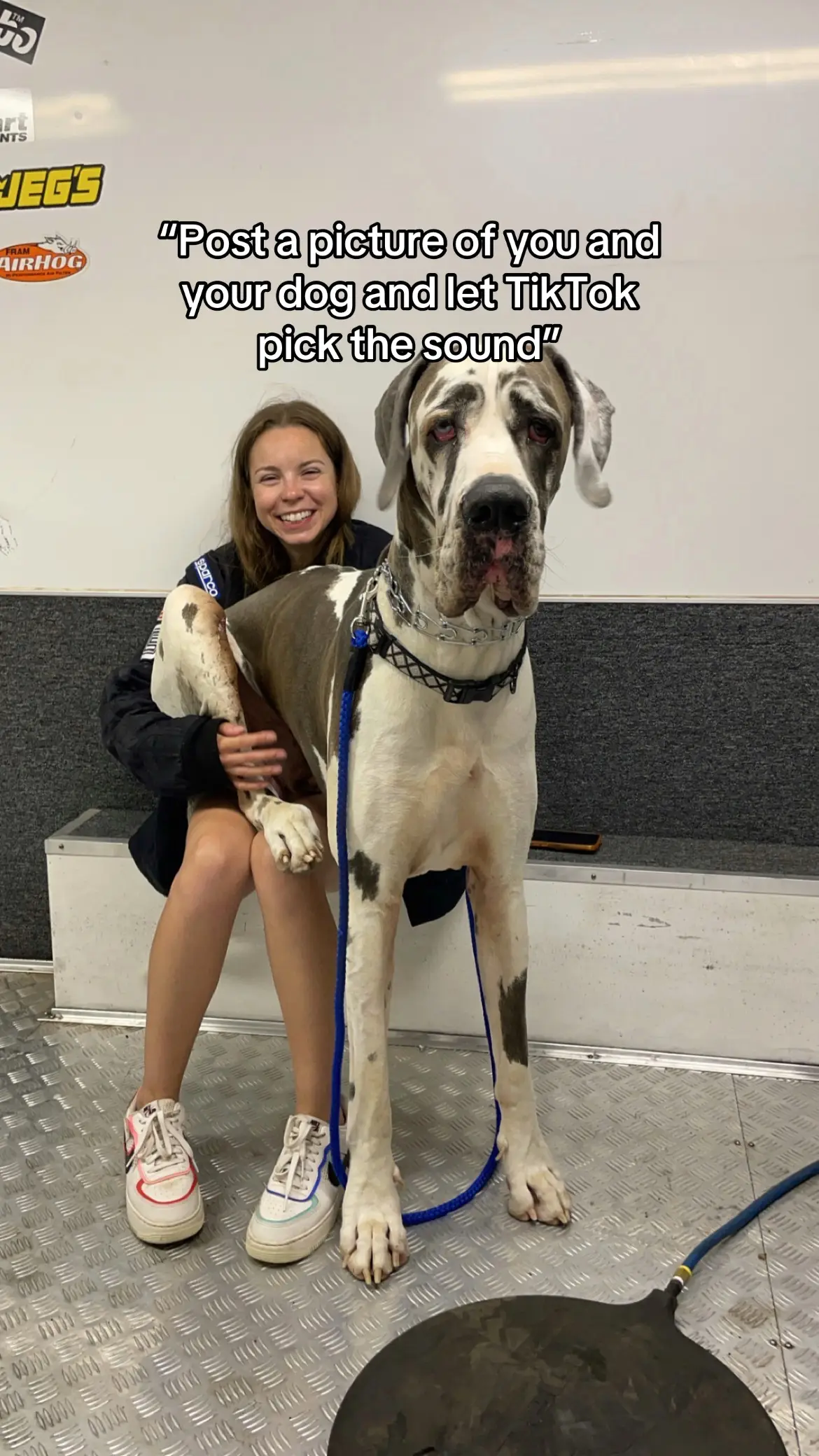 Spot on 💀 I love how all the others I’ve seen are so sweet.. and then we get this. 😂 How did TikTok know? 👀 that’s kinda scary lol #fyp #dogsoftiktok #greatdane 
