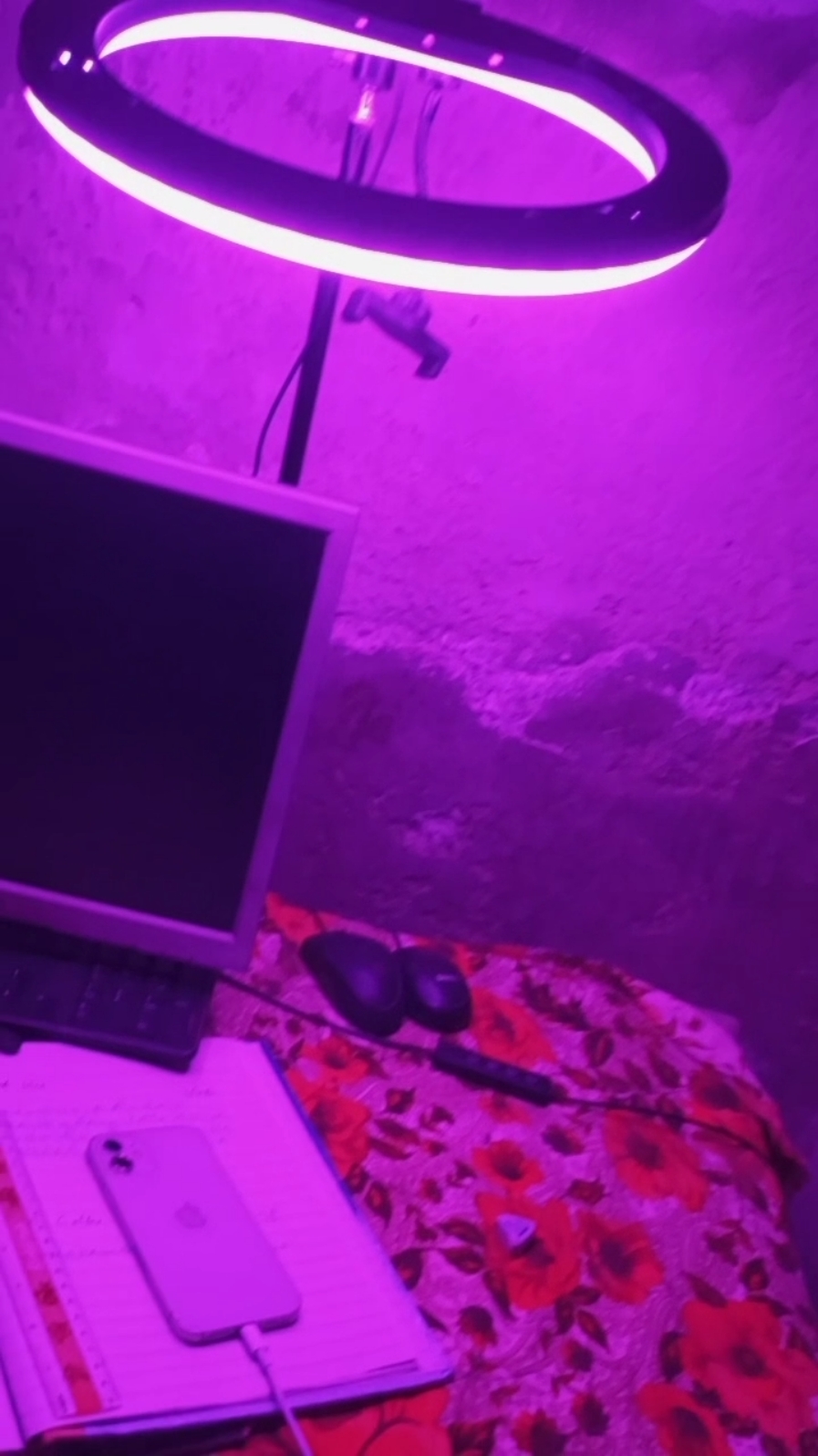 𝚂𝚝𝚞𝚍𝚢 𝓣𝚒𝙢𝕚🥀
