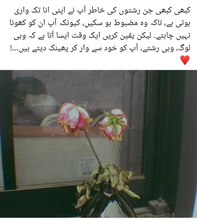 اگر لہجے شیریں ہوں تو لفظ شفا دیتے ہیں 🥀🌹💯❣️