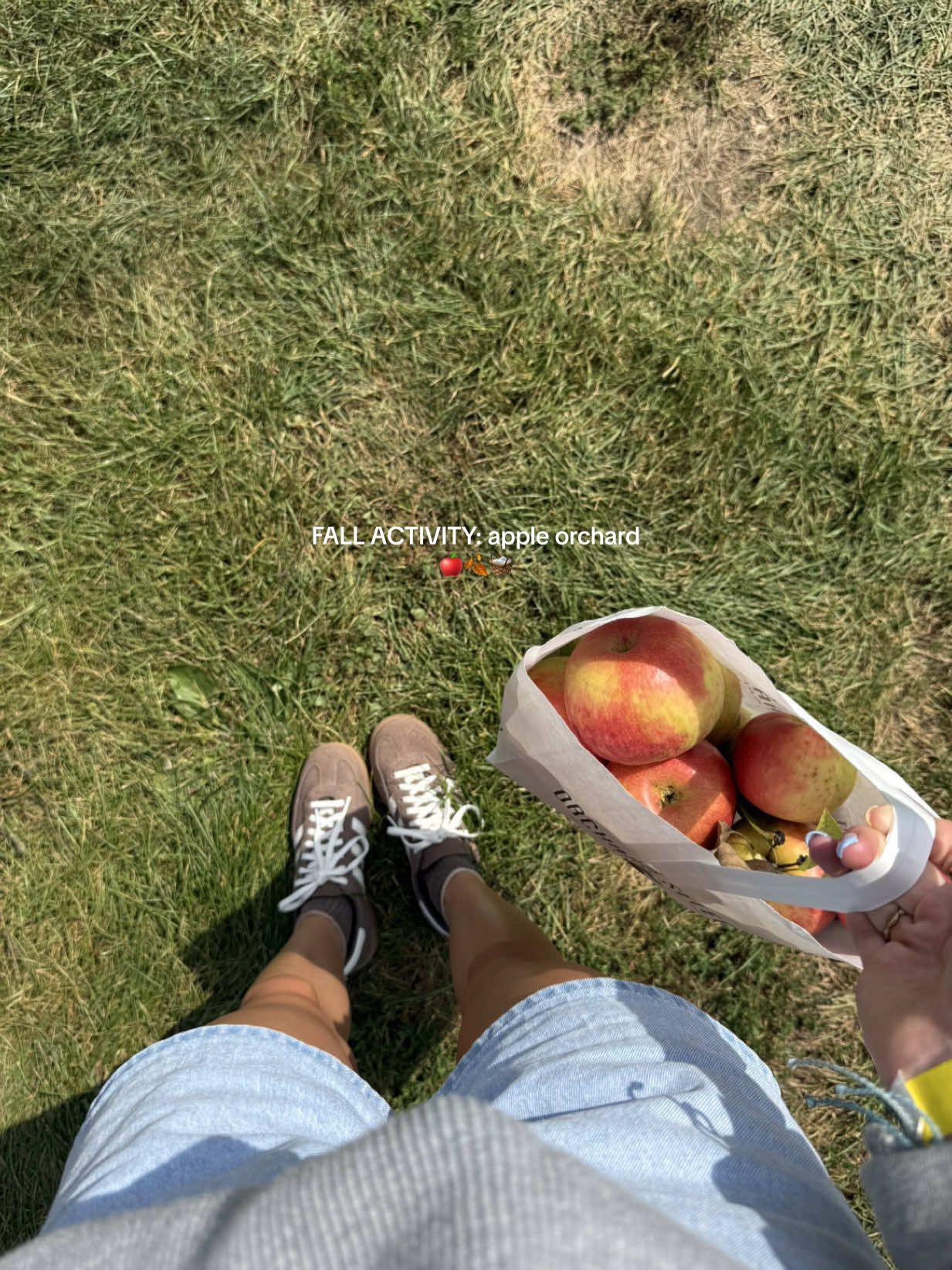 one of my fav things to do in the fall 🍎🍂🧺  #fallactivities #appleorchard #fallaesthetic #fallvibes #CapCut 