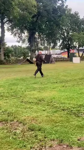 #hundevideos #dog #fürdich #hundeerziehung #hundetraining 