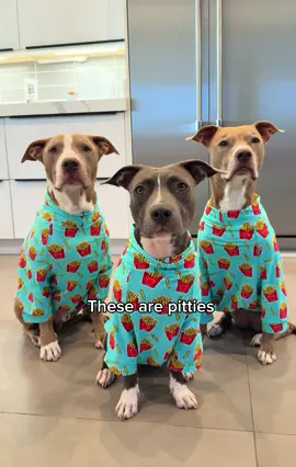 #ad Afternoon snoozes are peaceful again 💤 Thanks to Amazon's quiet electric delivery vans, nap time in our house doesn't get interrupted. With over 25,000 already on the road and 100,000 coming by 2030, deliveries are calmer, smarter, and a whole lot dreamier. Learn more about Amazon's electric delivery fleet at the link in our bio! #YoureWelcomeDogs @Amazon  #fyp #pitties #dogsoftiktok 