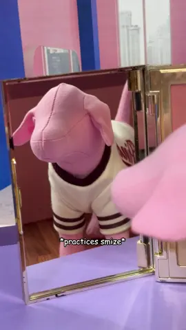 Don’t underestimate the power of miss Mini. She’s off to the big casting call with freshly painted paws and a new sense of confidence. Will the judges think she’s as much of an icon as the rest of us do? You’ll have to wait and see…  #VSPINK #VSFashionShow #VSFS #makeover #nyc 