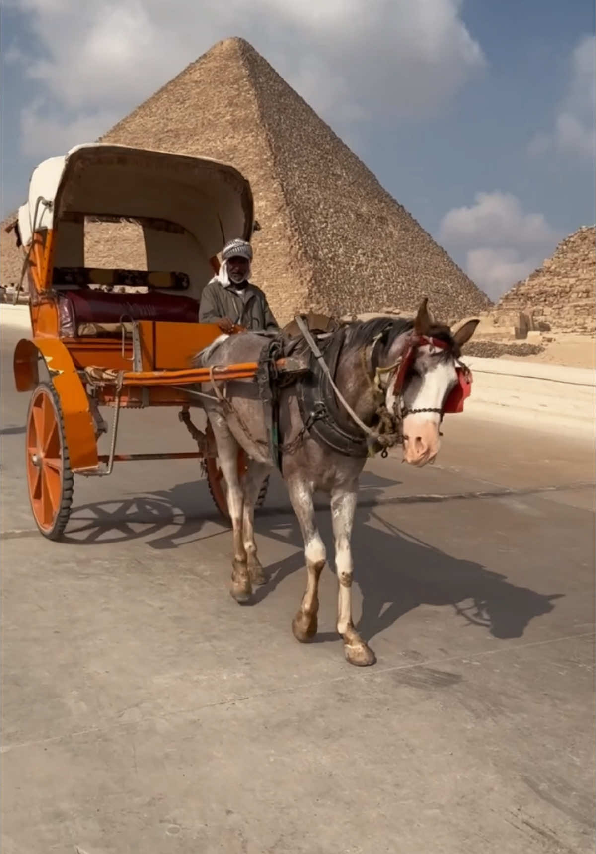 Ride camels 🐪 & horses 🐎 at the Great Pyramids 🏜️ … a journey through history you’ll never forget! 🌍 #pyramids #egypt #visitegypt #travel #GEM #explore #trending 