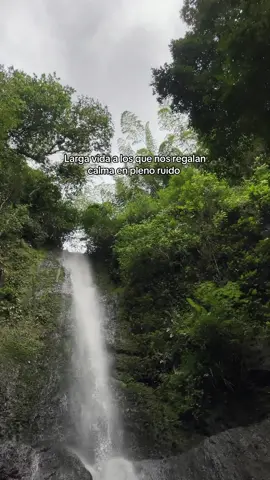 🥰❤️‍🩹 #inicio #naturaleza #Love #paratiiiiiiiiiiiiiiiiiiiiiiiiiiiiiii #viral 
