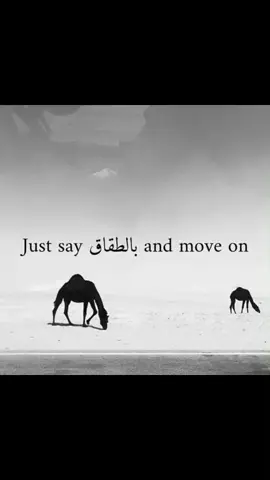 #الخلا #اكسبلورexplore #السعودية #شتاء_السعودية 
