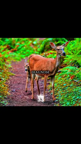 Sadness. #mindset #success #SelfImprovement #discipline #motivation 