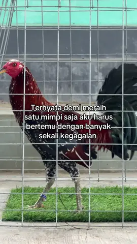 🙂#ak47spangel #brktime 