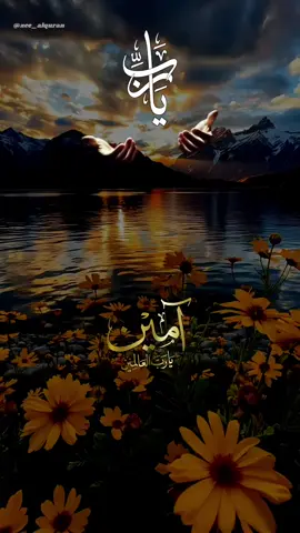 #امین_یارب_العالمیــــــــــن🤲🏻🥺  #zee_al_quran #treanding #tiktokviral #foruyou 