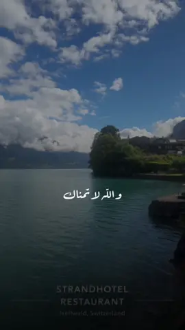 #lsltwald#سويسرا🇨🇭 #هشتاك_تيك_توك #تصويري📸اكسبلوور♥️🙂 #fypシ゚viral🖤tiktok☆♡🦋myvideo🤗foryou✨♥️ #77i_2a #💕 #الشعب_الصيني_ماله_حل✌️ 
