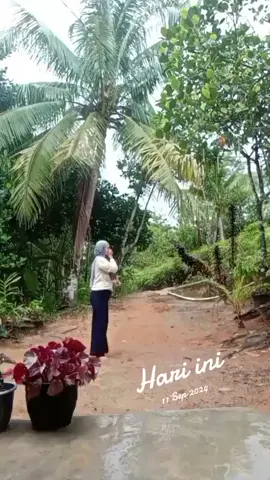 #padahariini