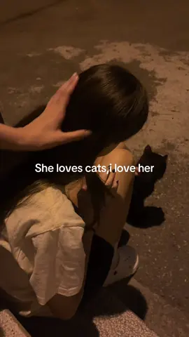 #cat #catlover #meow #foryoupage #cutecat 