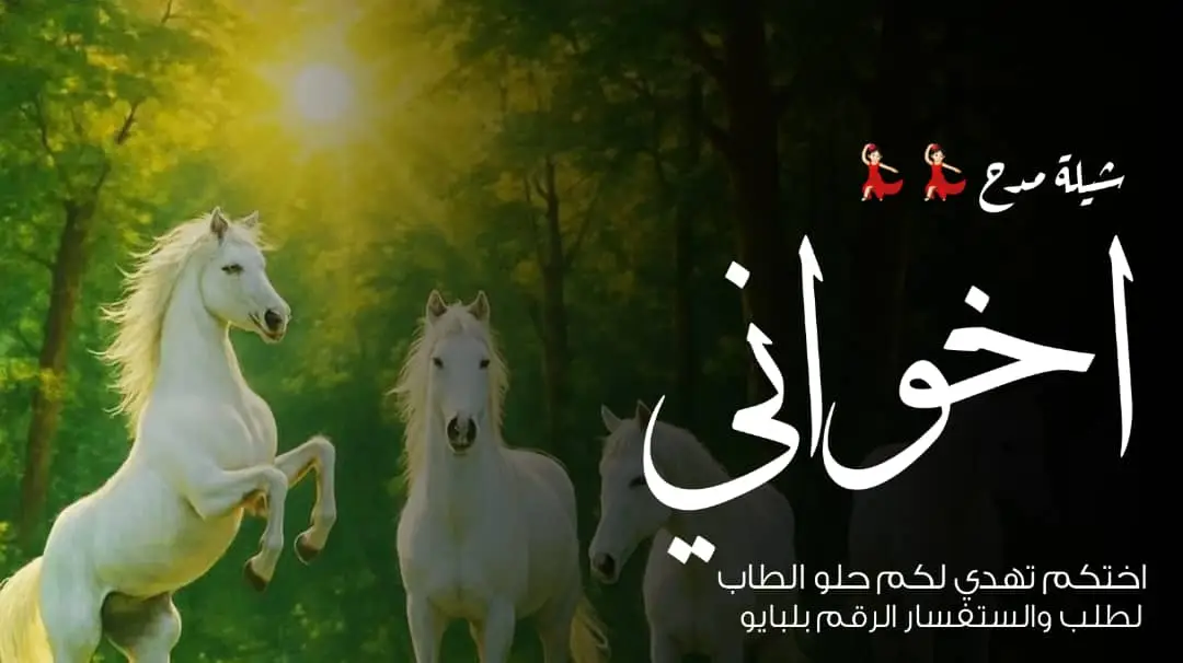 شيله مدح جديد اخوتي اختكم تهدي لكم اشيله فخوره فيكم استديو موعد فرح لتنفيذ ارقي الشيلات وزفات حسب الطلب شيلات مواليد شيلات ترحيب بظيوف شيلات تخرج شيلات عروس بالاسما وبدون أسما السعوديه 🇸🇦 قطر 🇶🇦 الكويت 🇰🇼 الإمارات 🇦🇪 اطلب شيلاتك باسم من تحب 